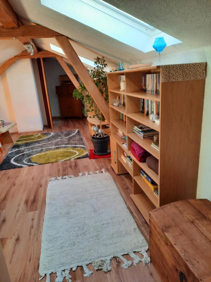 Ferienwohnung Rita 바트 미테른도르프 외부 사진